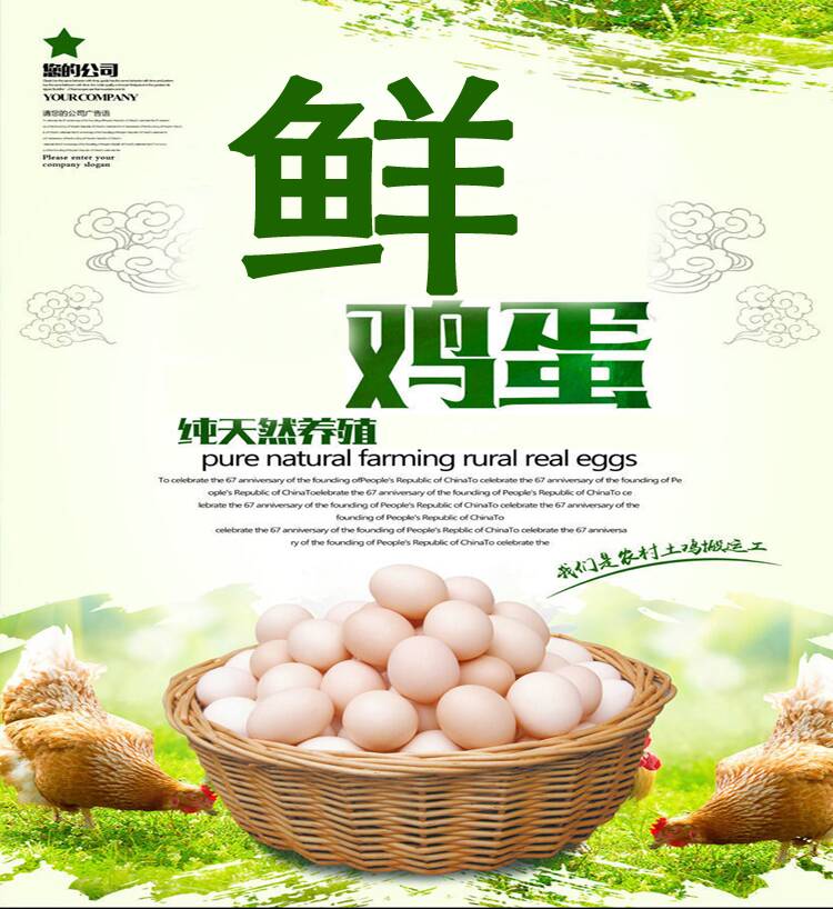 鲜鸡蛋